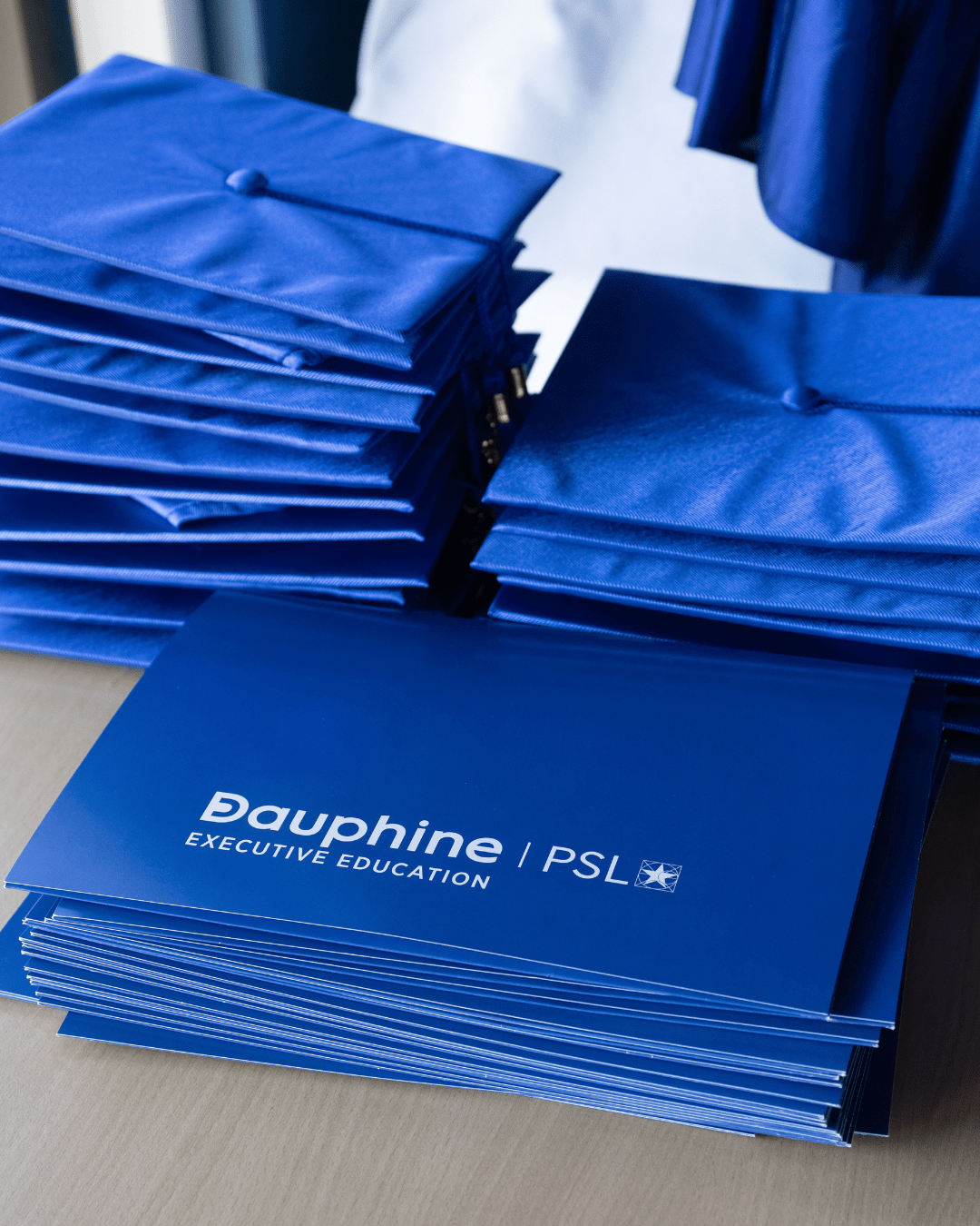 Dauphine PSL